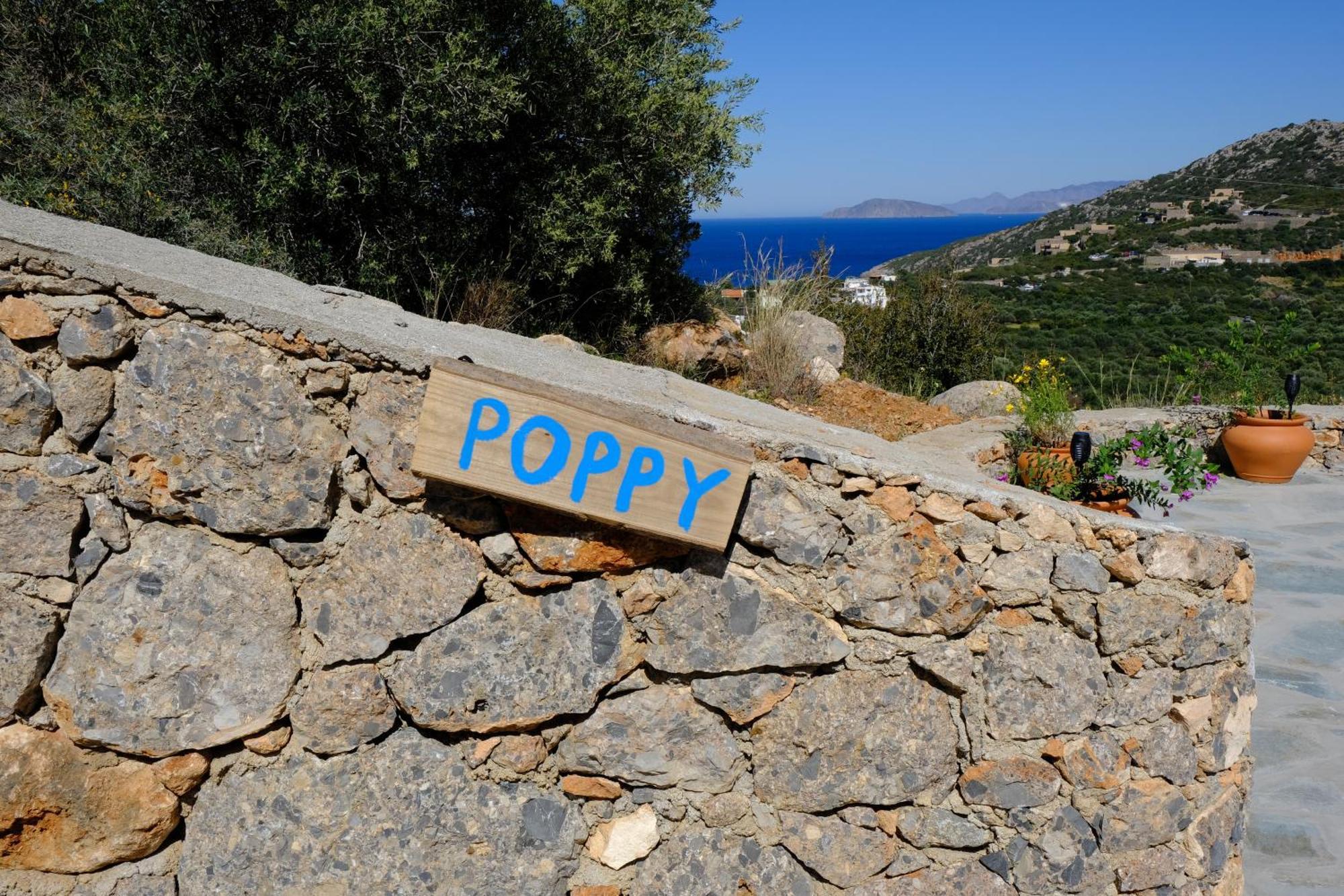 Villa Poppy Vathí エクステリア 写真